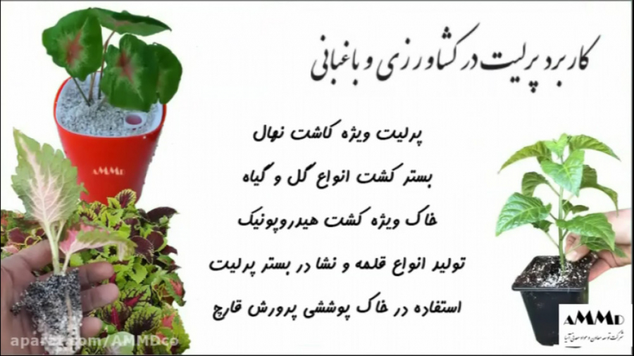 پرلیت کشاورزی، باغبانی و گلخان...