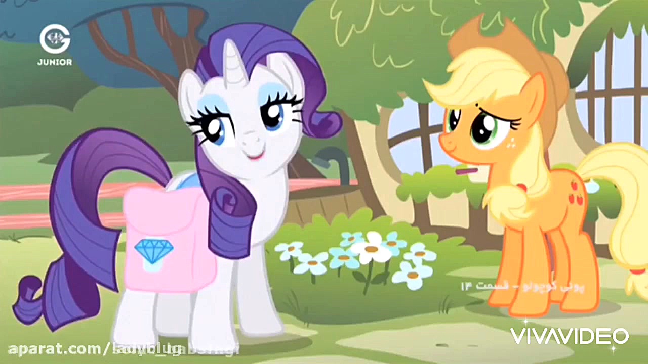 دوبلم از پونی