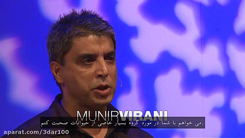 ویدیو تد چرا عاشق کرکسها هستم...