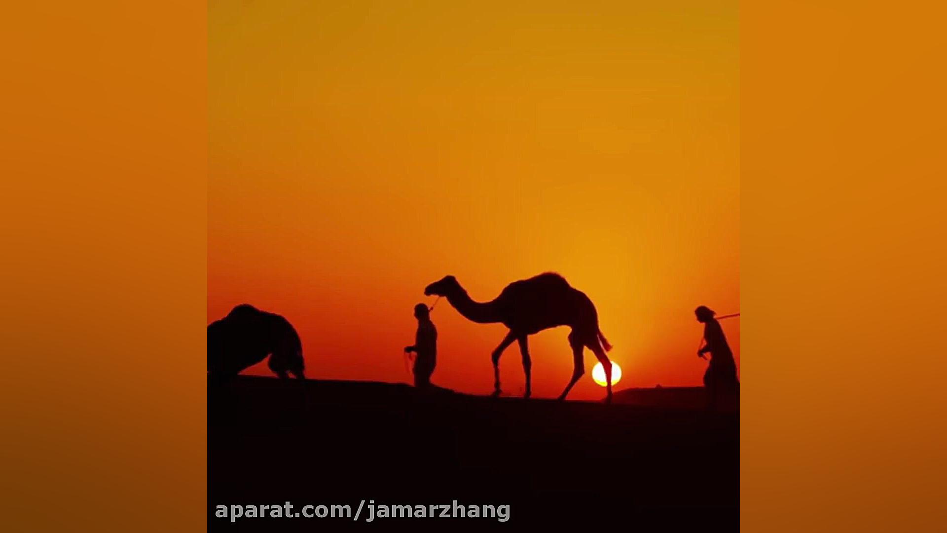 آتش کاروان :علیرضا افتخاری