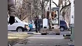 برای نجات یه سگ چه کارهایی میک...