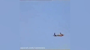 ویدیویی از پرواز پرنده سیاه