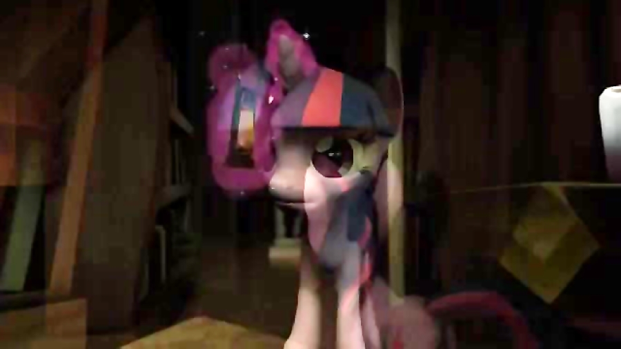 فلاتر شای زانبی