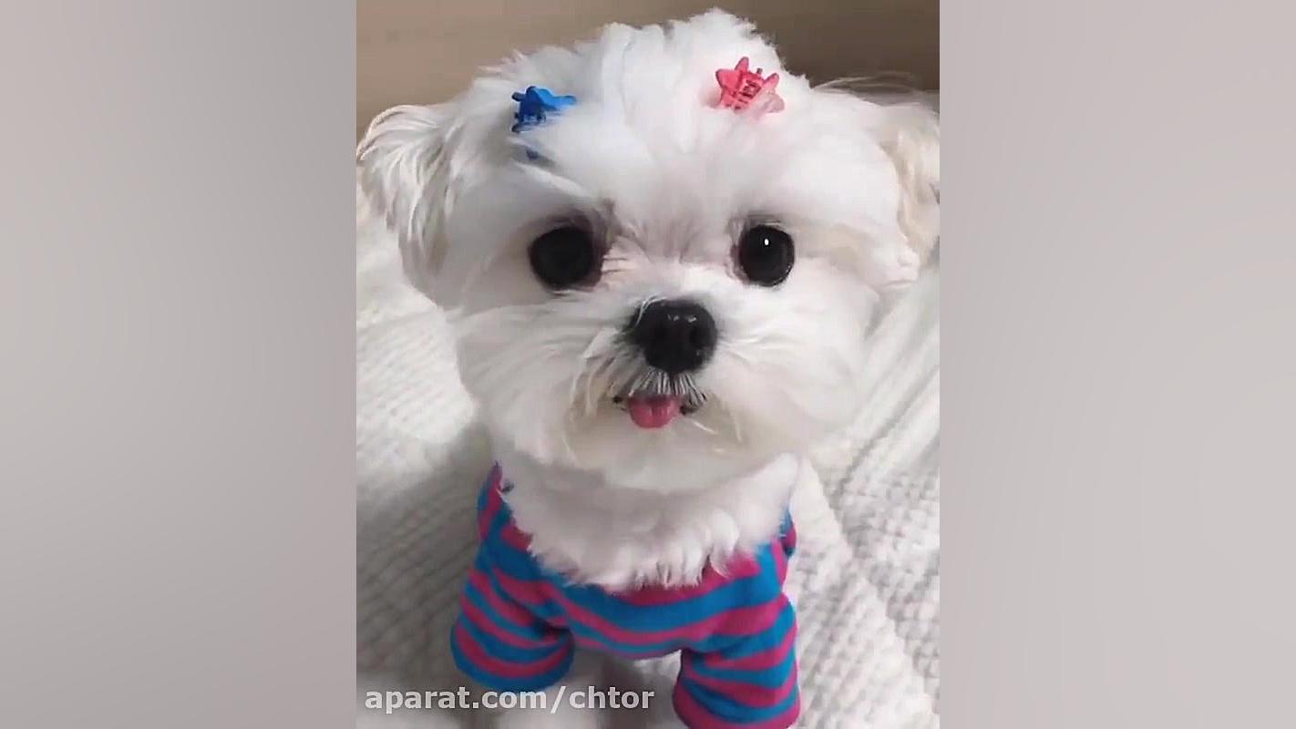 میشه دلت غش نکنه واسش؟