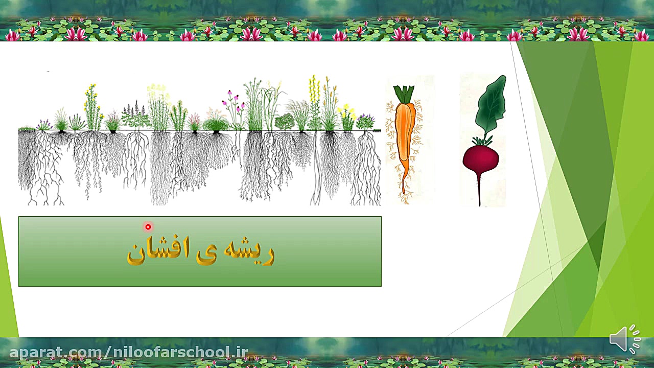 آموزش علوم چهارم دبستان ، درس...