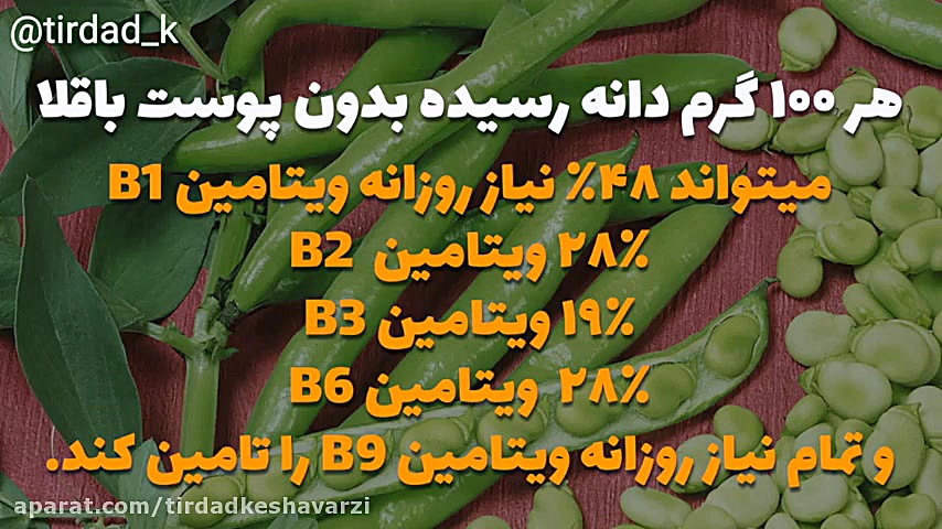 فصل باقلاست و بهتره کمی بیشتر...