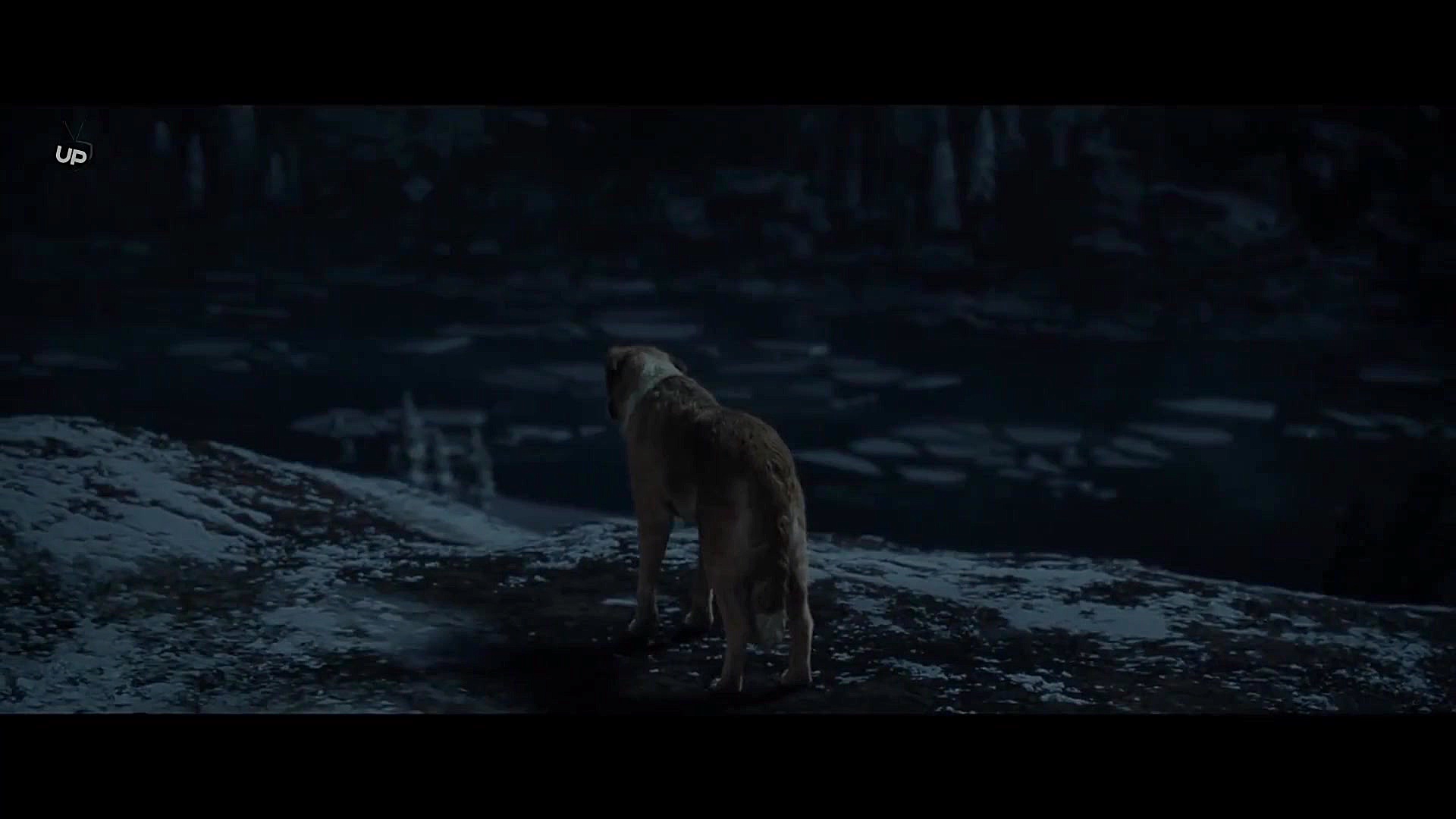 دانلود فیلم آوای وحش زیرنویس فارسی چسبیده The Call of the Wild 2020 زمان5980ثانیه