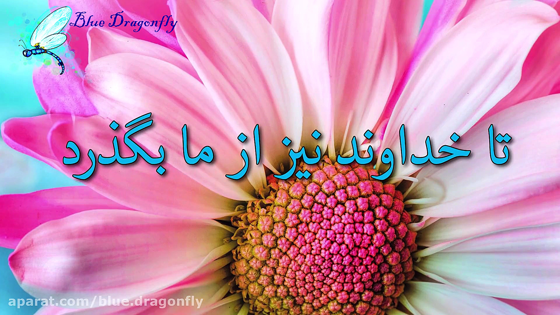 کلیپ تبریک ماه رمضان تبریک ماه...