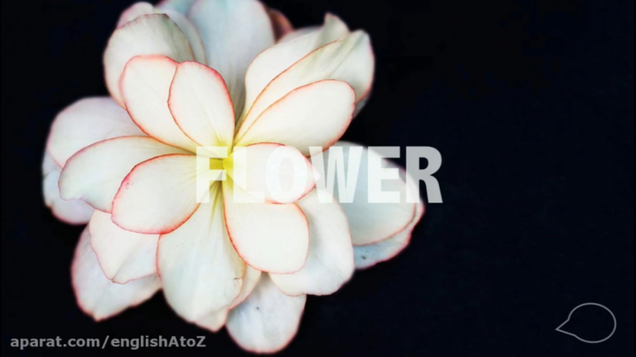 آموزش زبان انگلیسی مدرن: طبیعت...