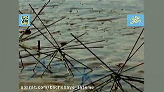 راهیان مجازی محور اروند