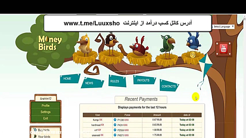  برداشت نامحدود از سایت مانی ب...