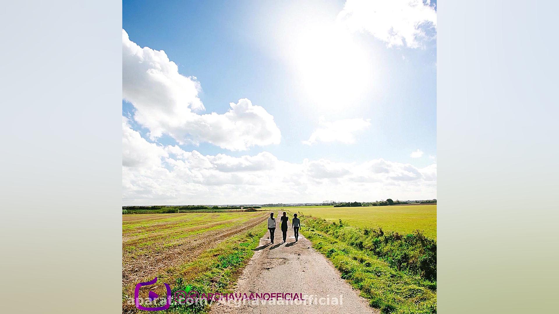 ارغوان از علیرضا قربانی