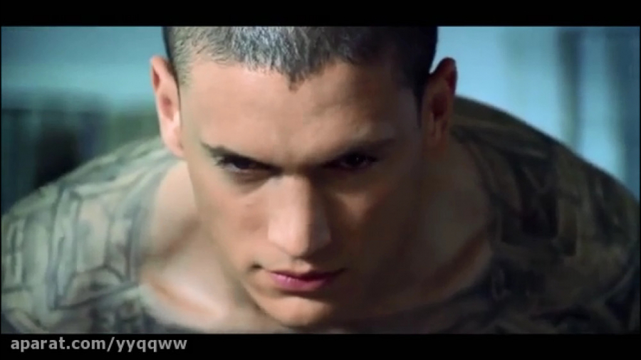 مایکل اسکافیلد( انفرادی)