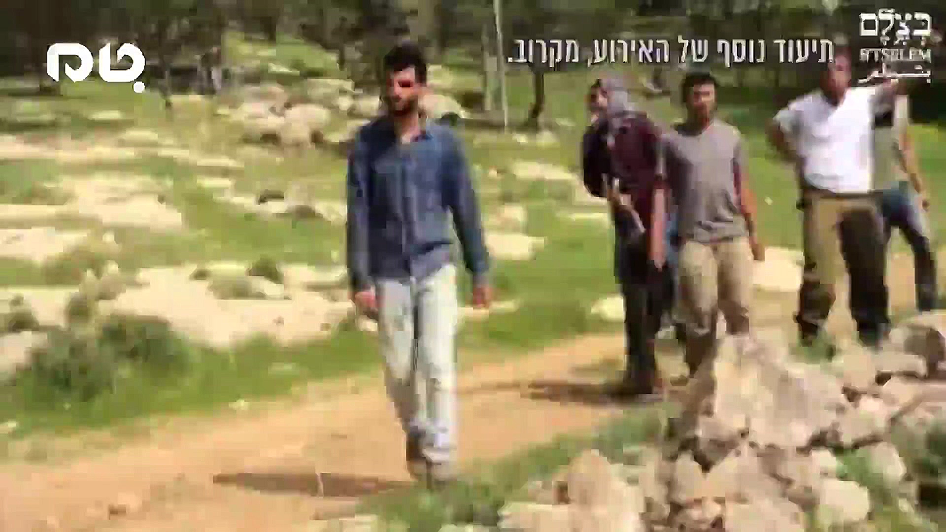 استفاده کفتارها از سگ‌وحشی برا...