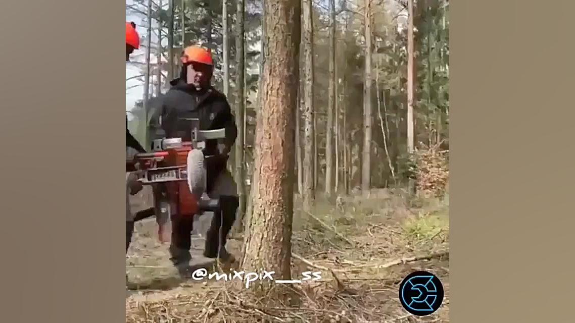 هرس کردن درختان