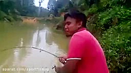 فیلم مستندبهترین طعمه ماهیگیری...