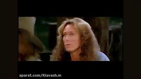 فرار ببر سیبری از شیر افریقایی