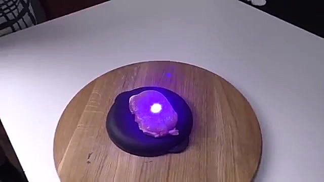 شوکر برقی چه بلایی گوشت گاو می...