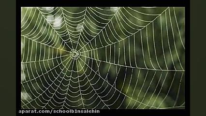 علوم پیش دبستانی واحد کار حشرا...