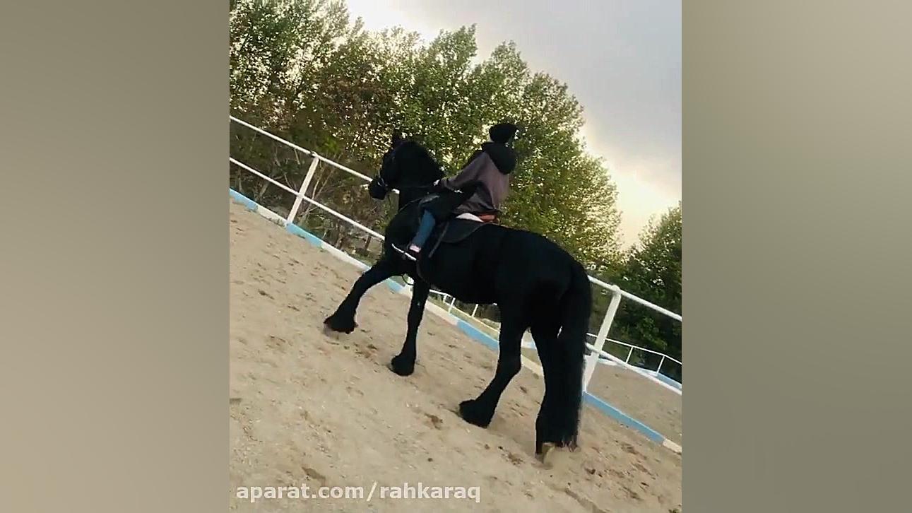 اسب سواری نیکا فرقانی(بازیگر پ...