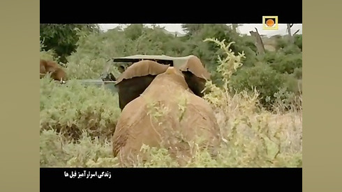 مستند زندگی اسرار آمیز فیل ها - با دوبله فارسی - قسمت 1 زمان157ثانیه