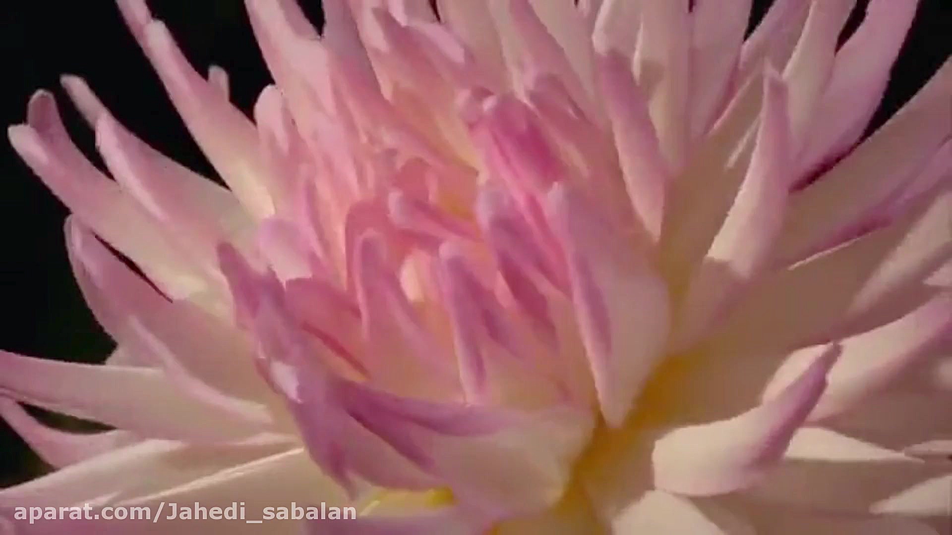 نماهنگ زیبای ترکی ویژه رمضان ا...