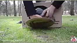 آموزش ساخت تله برای گرفتن کبوت...