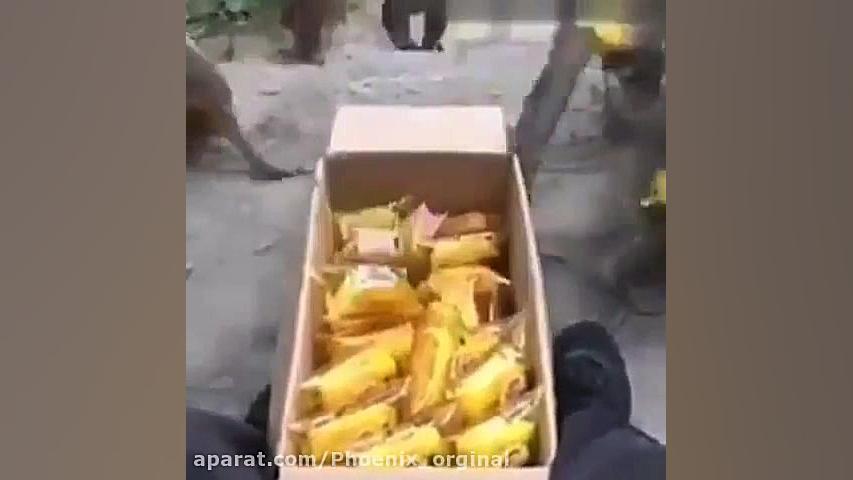 بهترین صداگذاری تاریخ بشریت |...