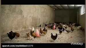 اقلید بر بلندای پارس ( قسمت سو...