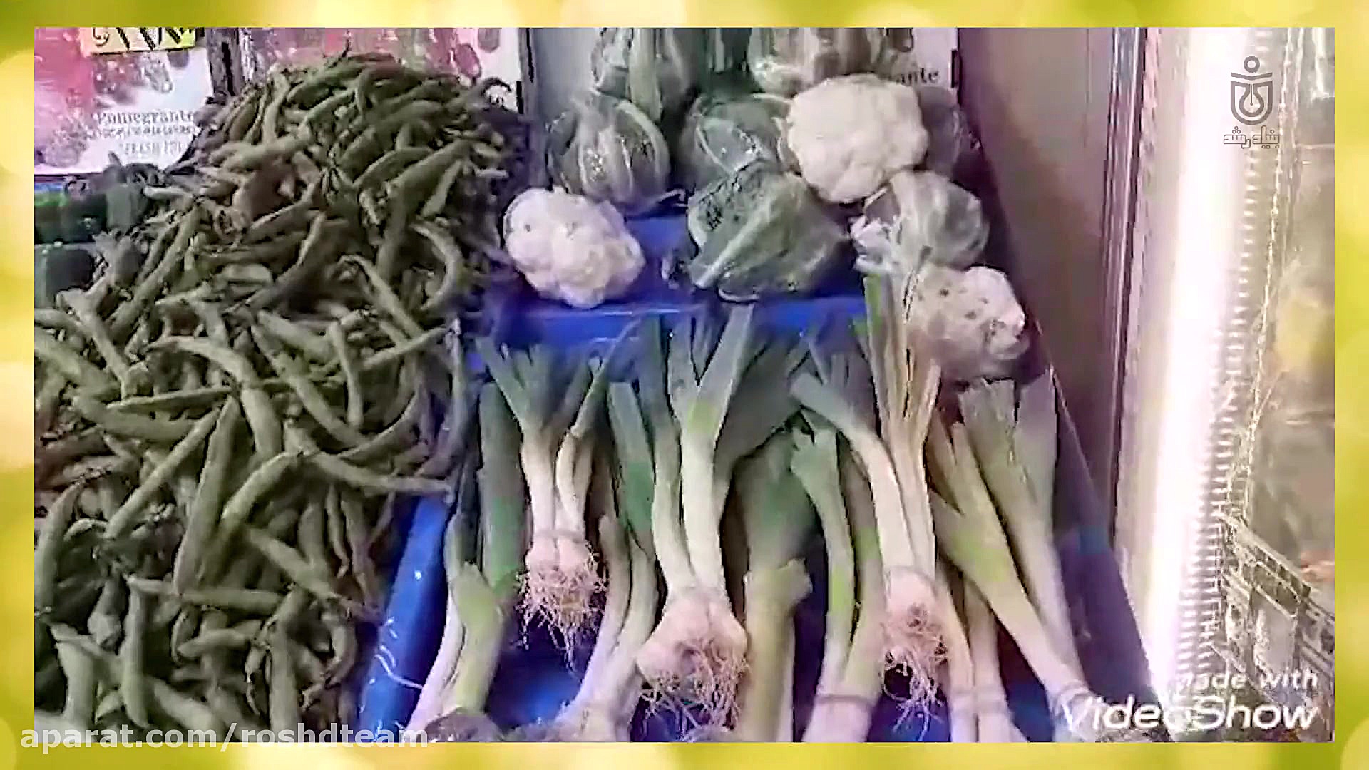 آموزش علوم گیاهان پیش دبستان