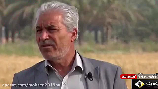 رکورد بی‌سابقه در کشت شلتوک خو...