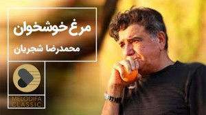 تصنیف مرغ خوش خوان (یوسف گم گش...