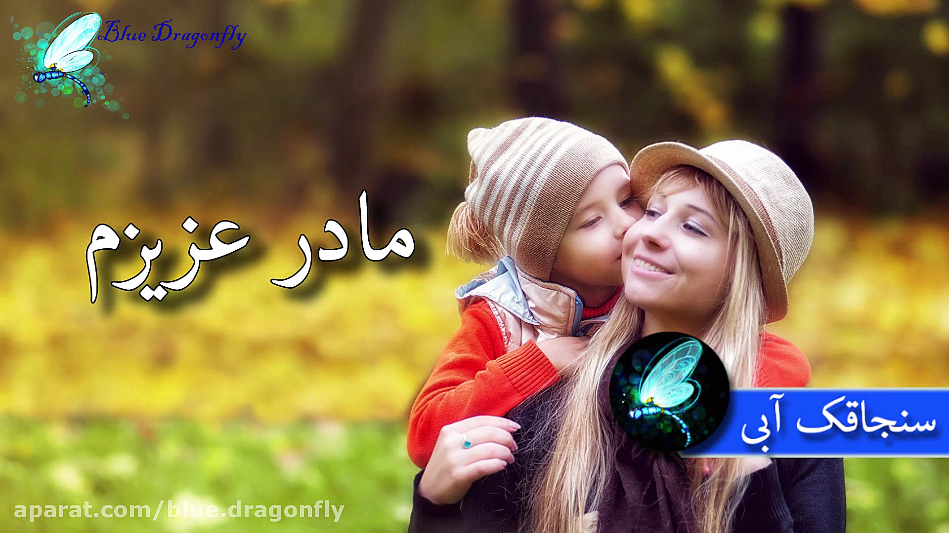 کلیپ تبریک روز معلم به بهترین...