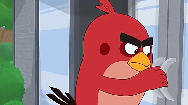 کارتون انگری بردز  دوربین خراب