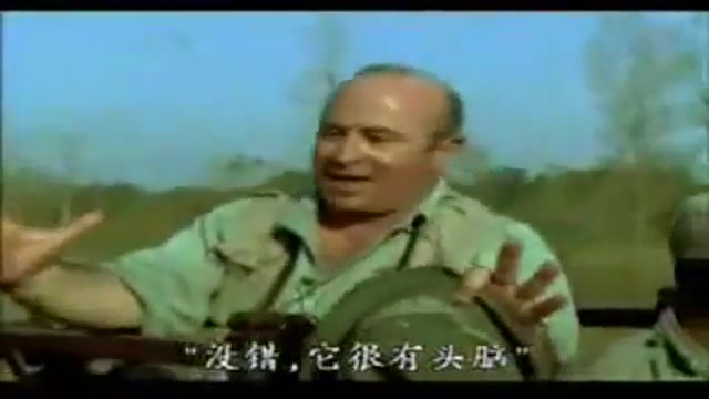 حمله ببر به فیل (جالب)