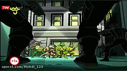 لاک پشت های نینجا