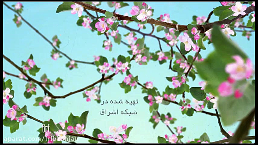 اسلام به معنای تسلیم شدن است