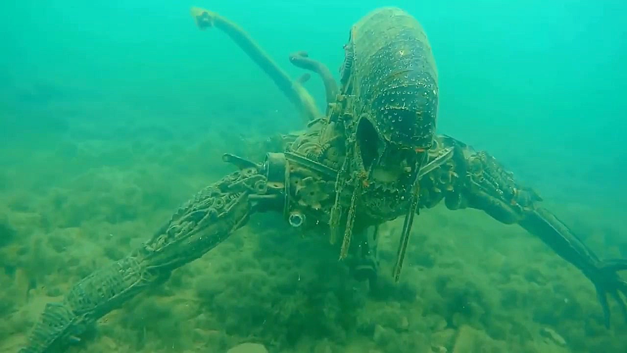 حماسی ترین و باور نکردنی ترین...