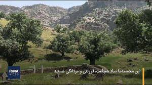 شیر سنگی بر مزار چهره‌های...