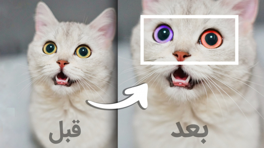 آموزش عوض کردن رنگ چشم و تکنیک...