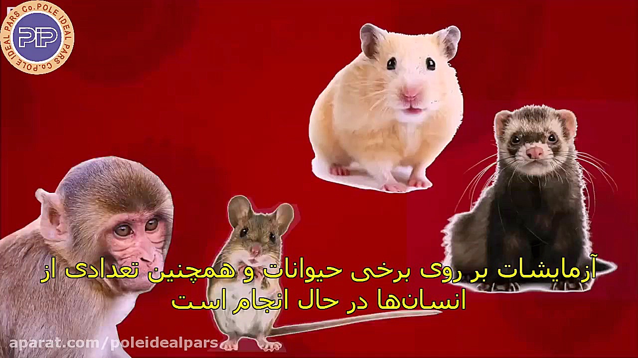 چالش‌های ساخت واکسن کرونا: واک...