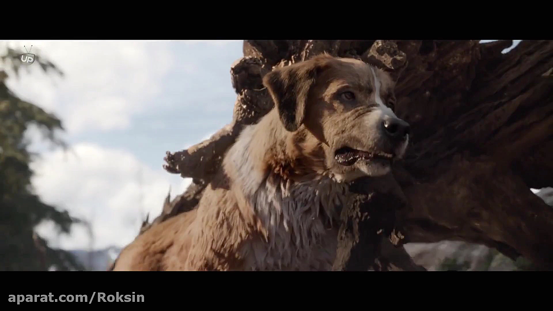فیلم آوای وحش با زیرنویس فارسی || The Call of the Wild 2020 زمان5980ثانیه