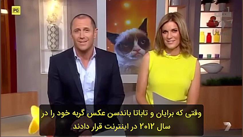 گربه معروف اینترنت در شبکه های...