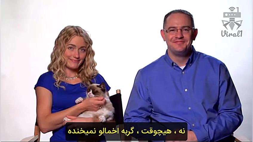 داستام معروف شدن گربه اخمو از...