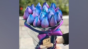 تقدیم به معلمان عزیزم و اساتید...