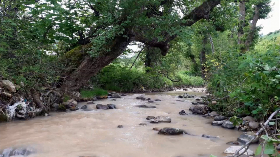 ریلکسیشن: صدای آرامش بخش رود