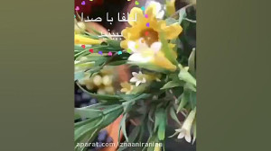 ترشی غوره