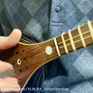 سه تار نوازی مهندس حسن نجفی