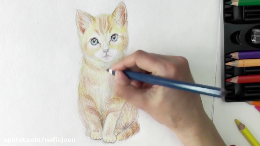 آموزش نقاشی گربه با مداد رنگی...