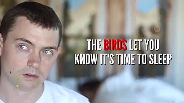 علائم شب زنده داری